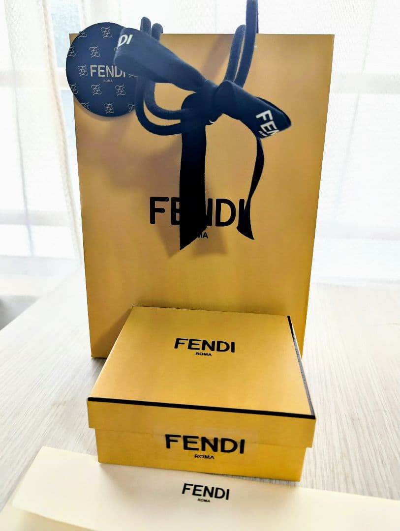 【新品未使用】正規品 フェンディ ズッカ キャンバス×レザー ケース