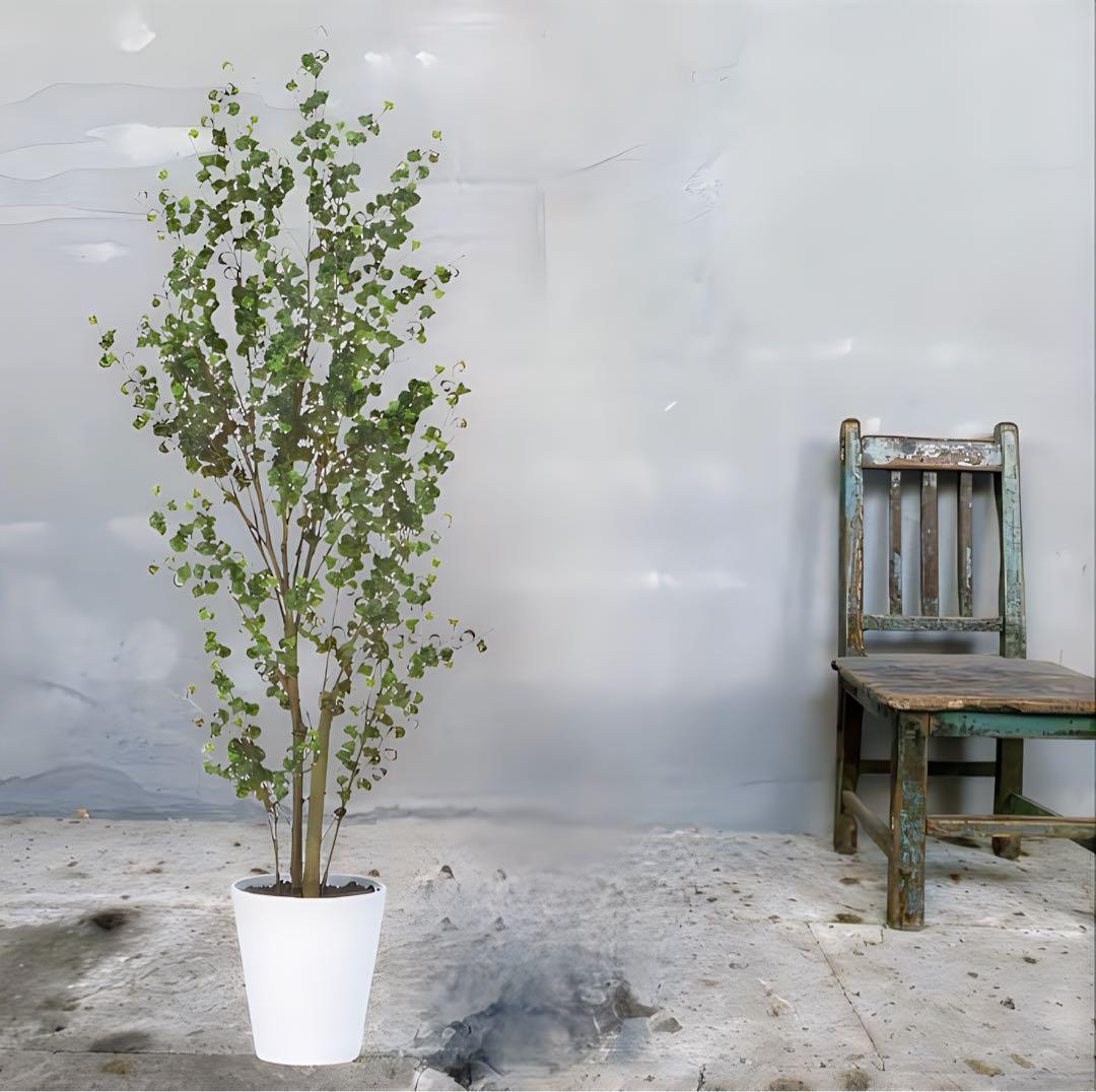 光触媒　人工観葉植物　フェイクグリーン　東北ベンジャミンバロック150