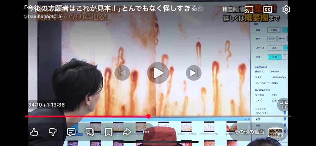 ★フィッシュマンズ　LONG SEASON、宇宙日本世田谷、他　10枚セット