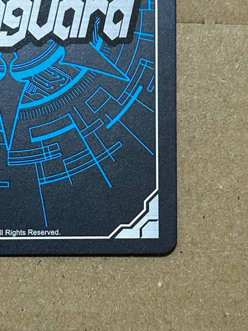 ヴァンガード スノウスキップパルヴィ LSR