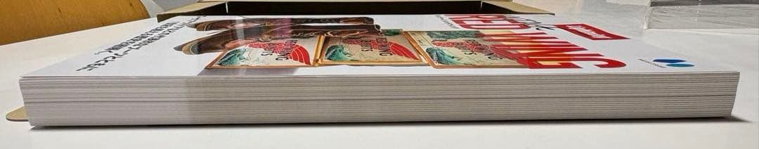 Lightning VINTAGE RED WING レッドウィング