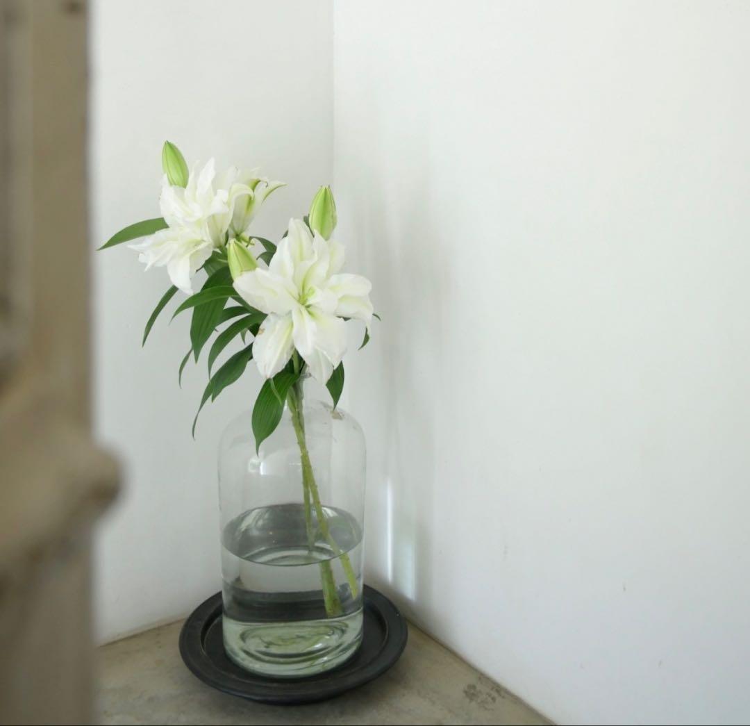 専用です！大きい蓋付き　ガラス瓶　試薬瓶