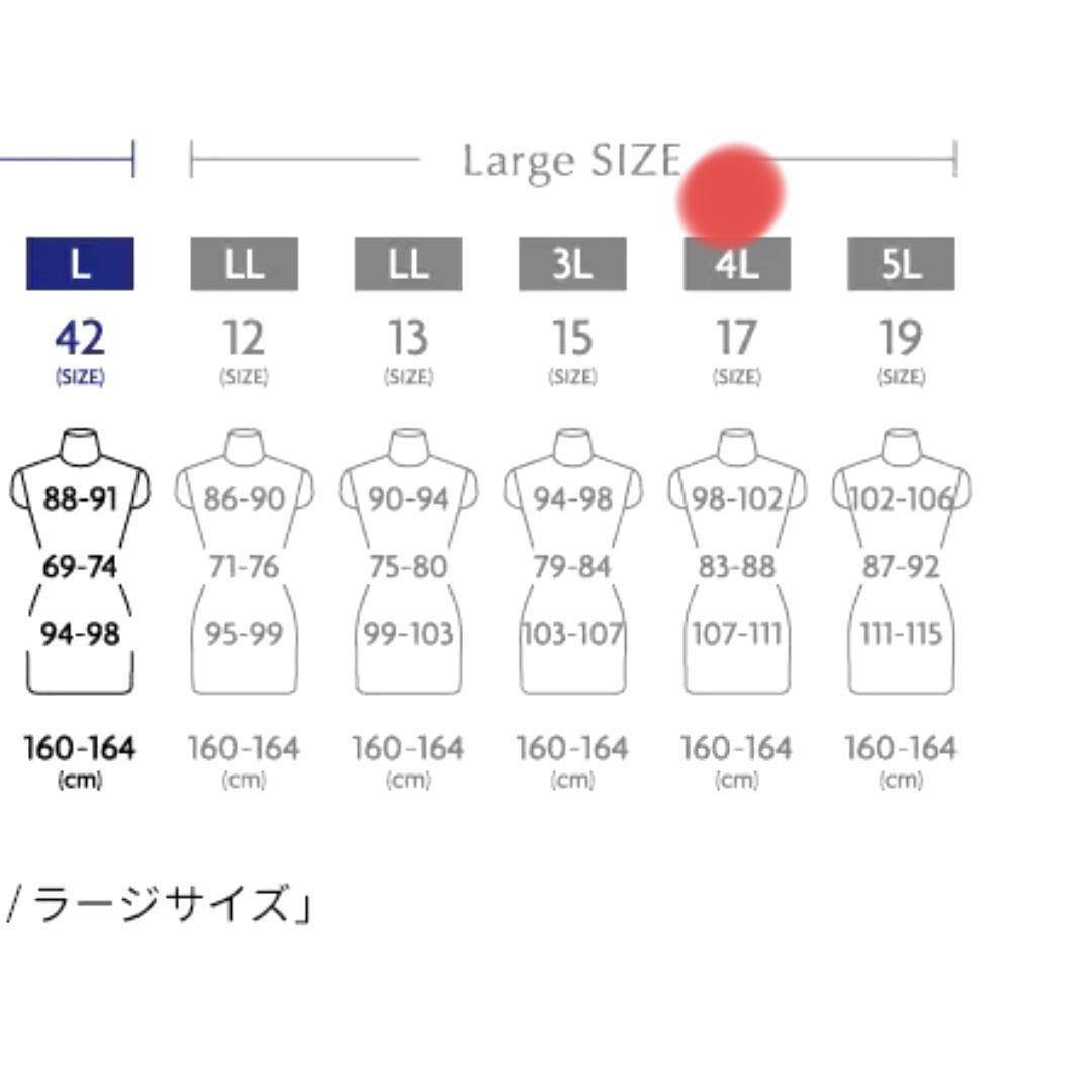 美品✨️大きいサイズ✨️INDIVI ノーカラー スーツ セットアップ