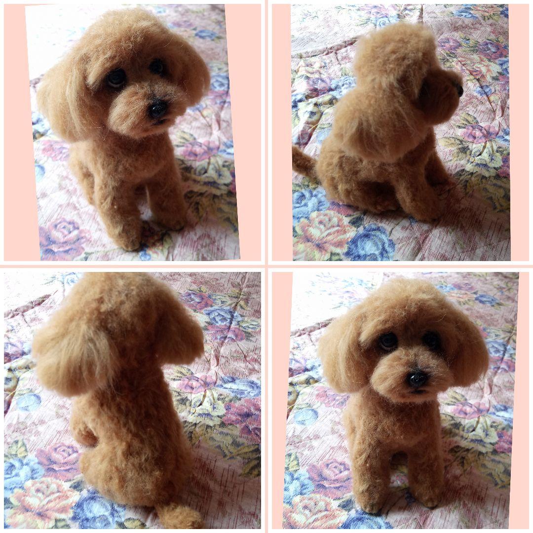 愛犬さんの羊毛フェルトオーダー専門・オーダー受付・わんちゃん