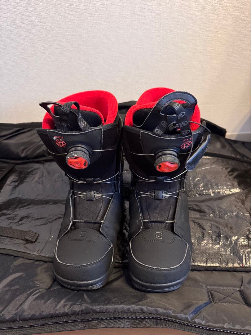 YONEX foaroc 20周年モデル、SALOMON MANTIS、ケース付