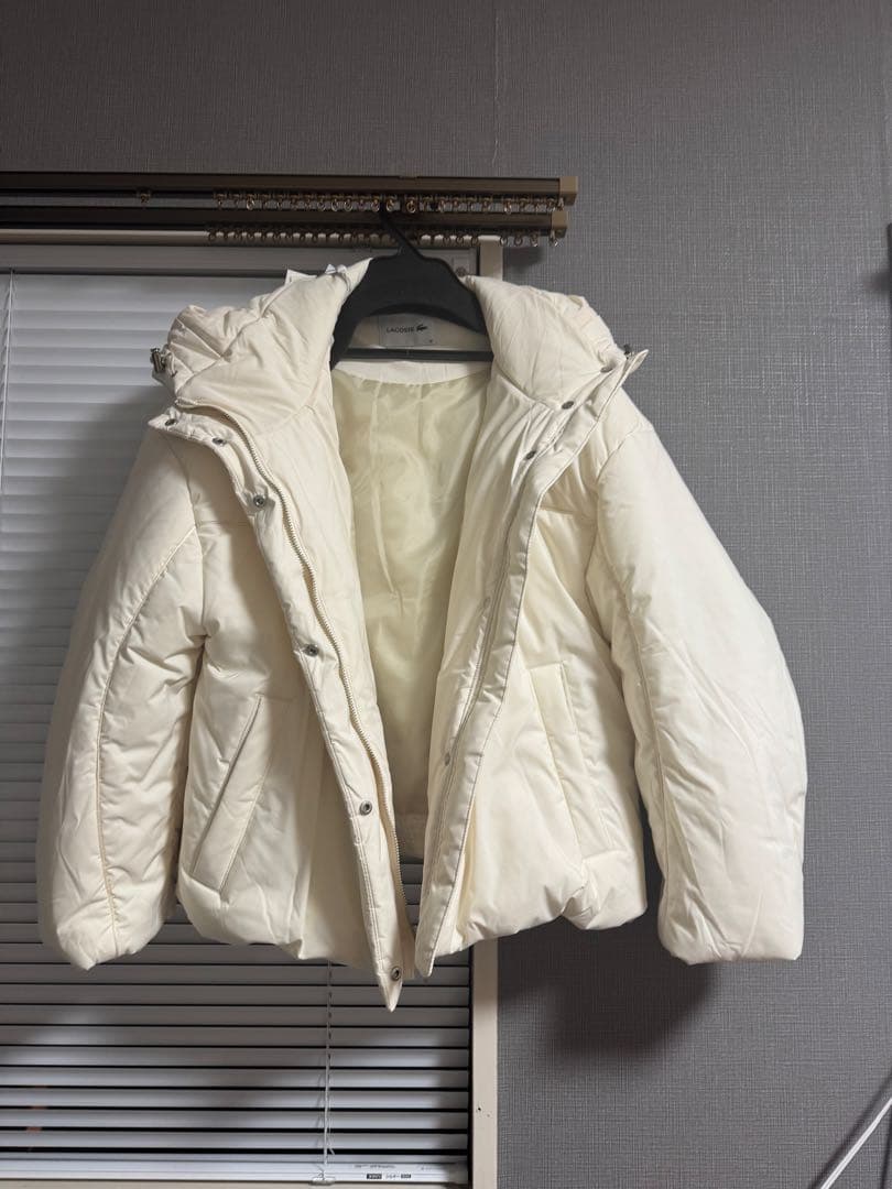 スナイデル　ダウン