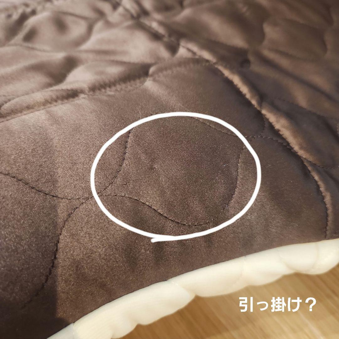 【超美品】じぶんまくら プレミアム Premium