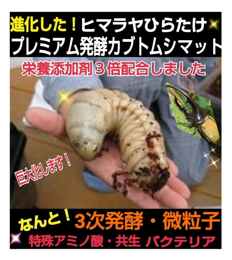ヘラクレスが巨大化します！プレミアム発酵マット【50L】特殊アミノ酸強化配合！