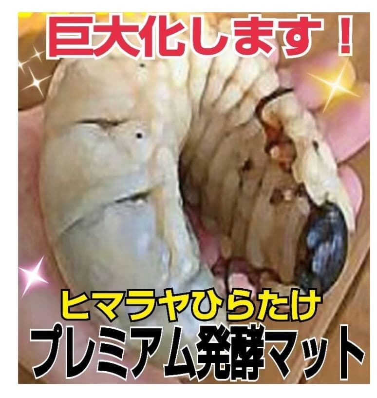 ヘラクレスが巨大化します！プレミアム発酵マット【50L】特殊アミノ酸強化配合！