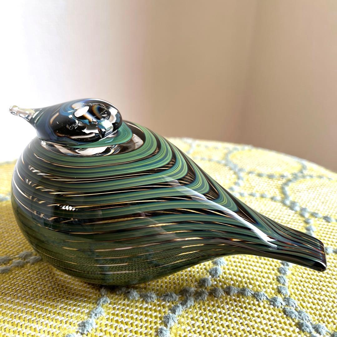 イッタラバード　Whip Poor Will pajusotka ヨタカ