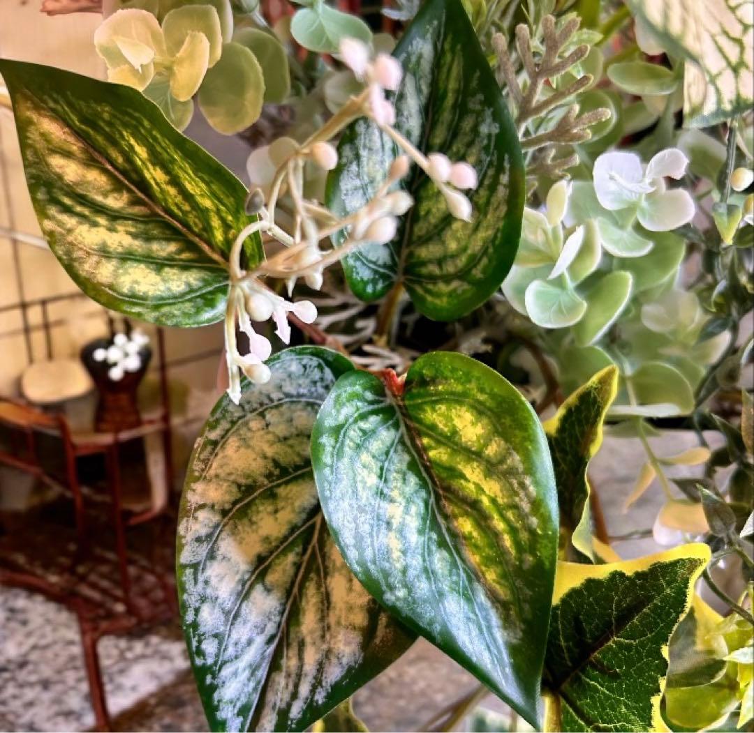 光触媒　人工観葉植物　ウォールグリーン　フェイクグリーン　カラジュームとサイラン