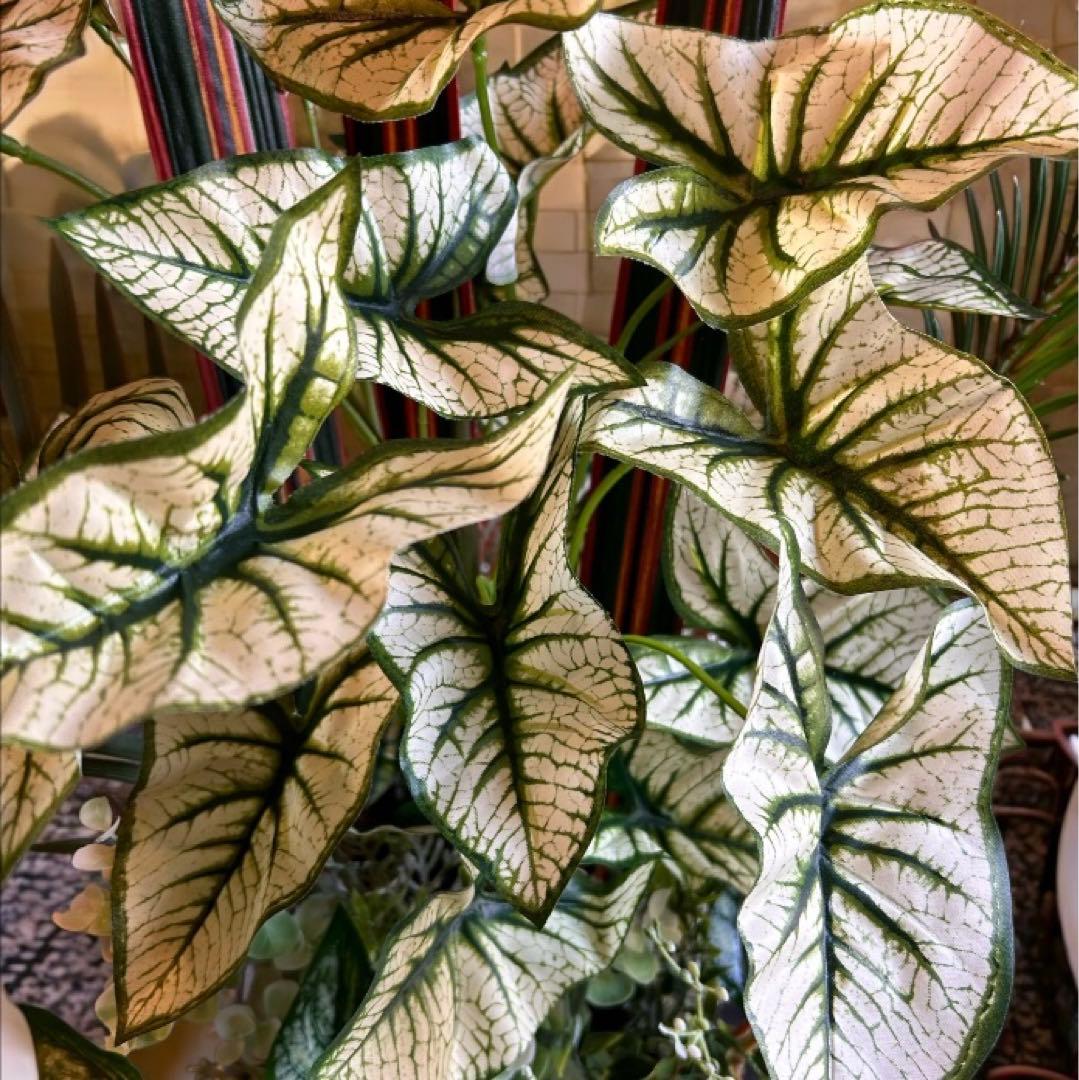 光触媒　人工観葉植物　ウォールグリーン　フェイクグリーン　カラジュームとサイラン