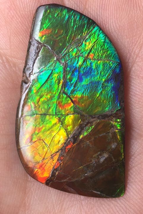 【セール】IMPERIAL アンモライト 両面レインボー レアルース