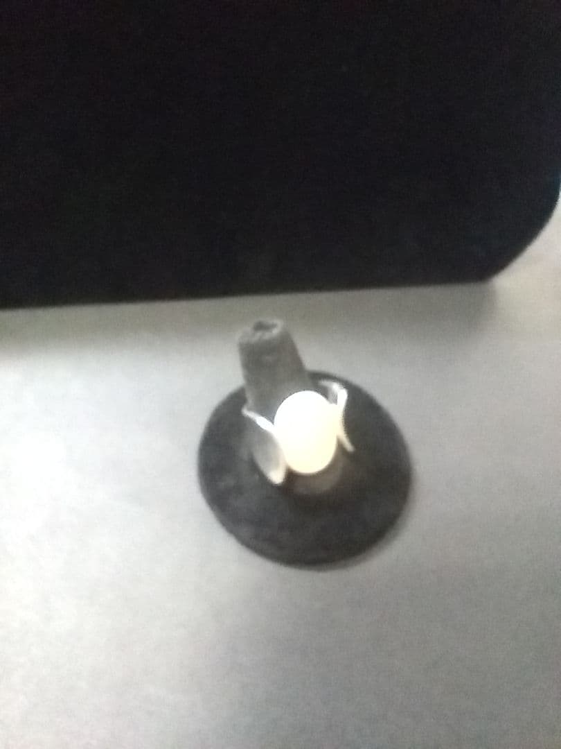 白蝶貝リング