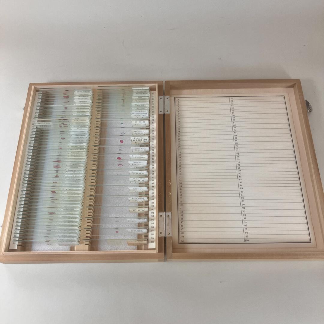 顕微鏡プレパラート　上野科学社製　植物組織　74種