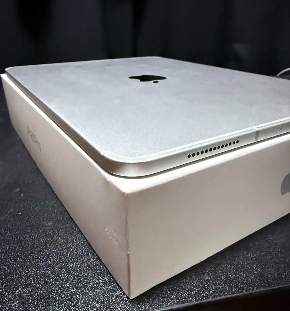 美品 iPad Pro 11インチ セルラーモデル 512GB 最大容量91%