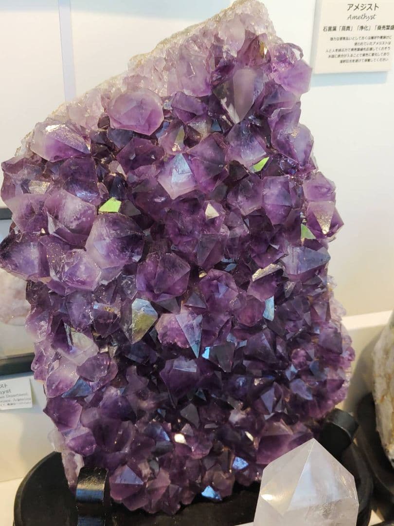 台座付き美結晶☆天然石アメジストクラスター原石パワーストーン鉱物4.2kg紫水晶