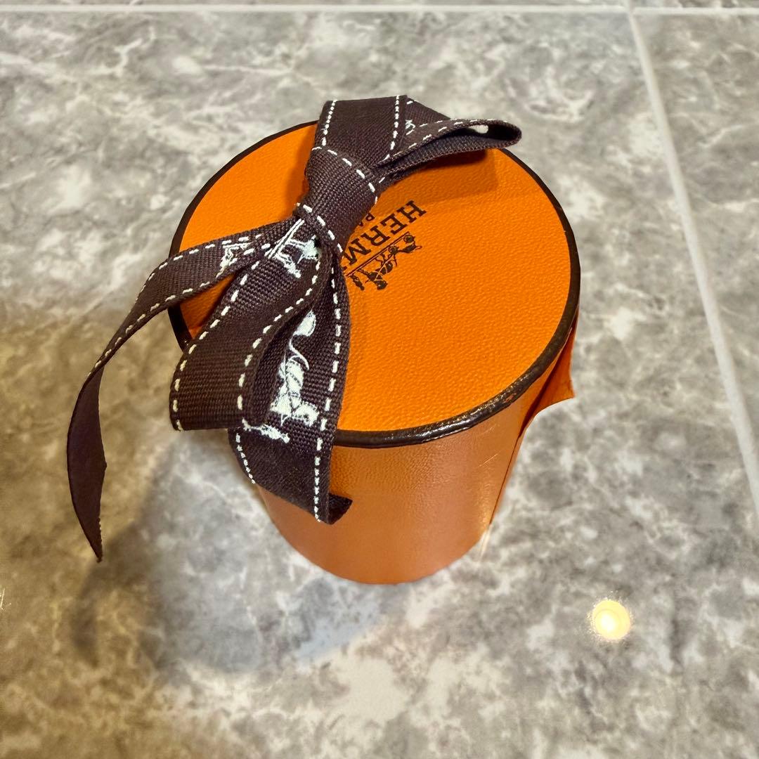 Hermès エルメス ツイリー 大空の狂気