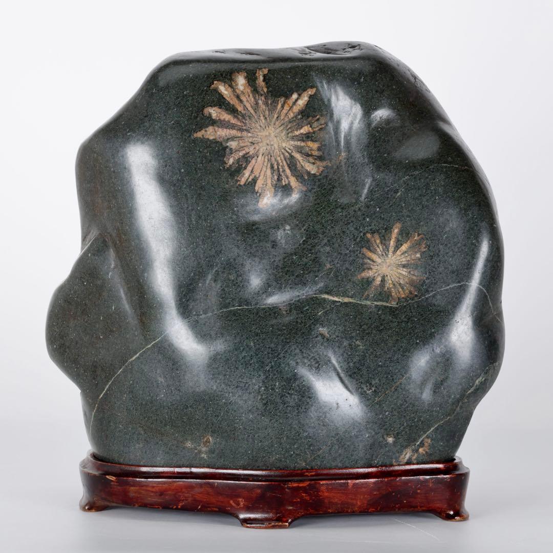 【特大13kg】菊花石 花紋石 台座付 天然石 鑑賞石 水石 盆石 飾石 原石