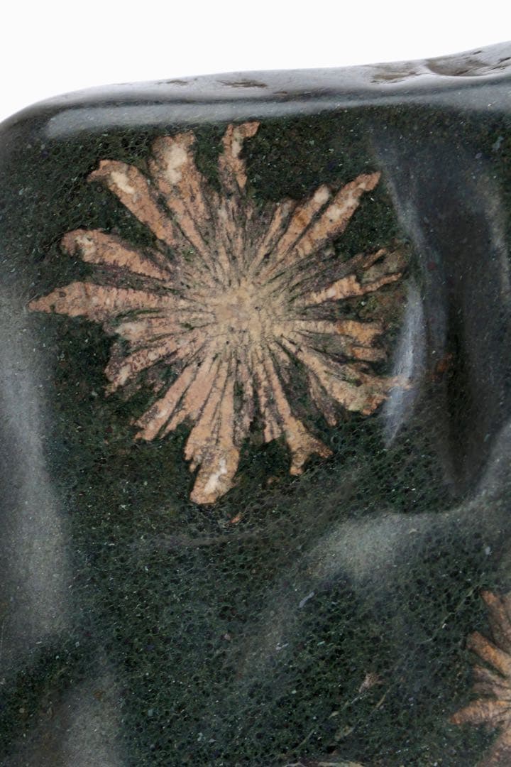 【特大13kg】菊花石 花紋石 台座付 天然石 鑑賞石 水石 盆石 飾石 原石