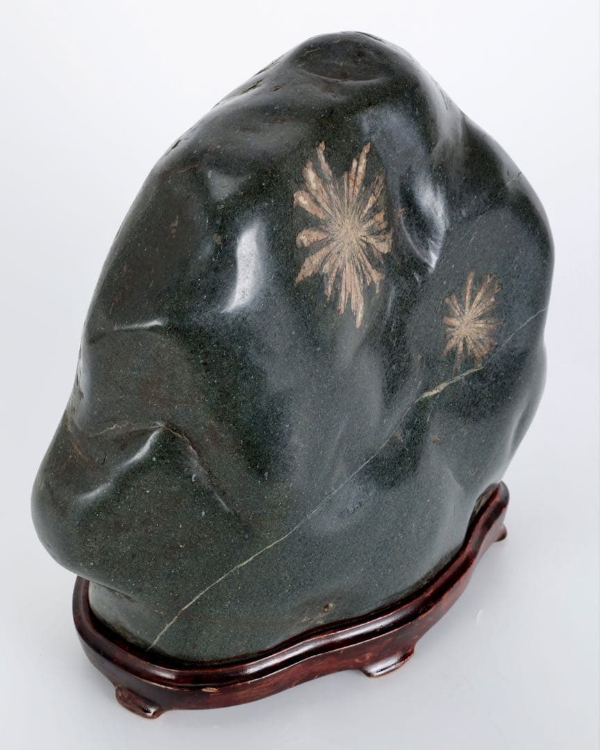 【特大13kg】菊花石 花紋石 台座付 天然石 鑑賞石 水石 盆石 飾石 原石