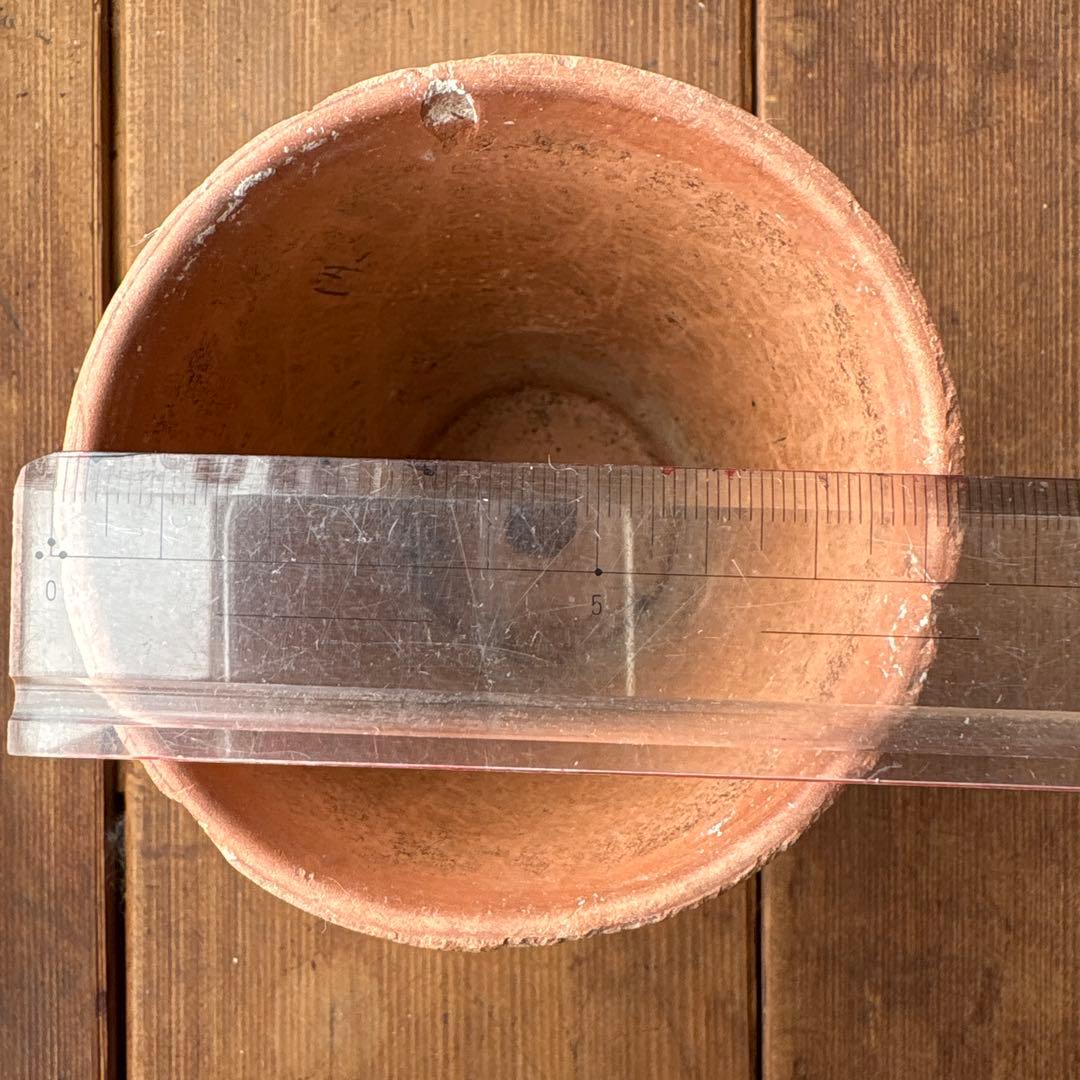 ウィンザー城の植木鉢 5個セット