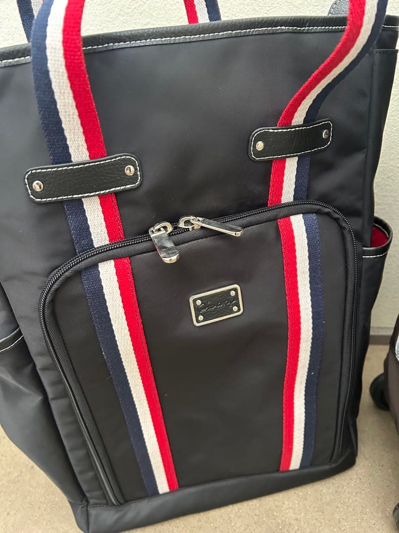 スワニーキャリーバッグLサイズ
