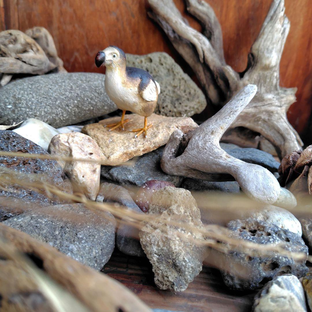 小さなバードカービング 偉大なるドードー鳥 最後の1羽 野鳥 木彫り