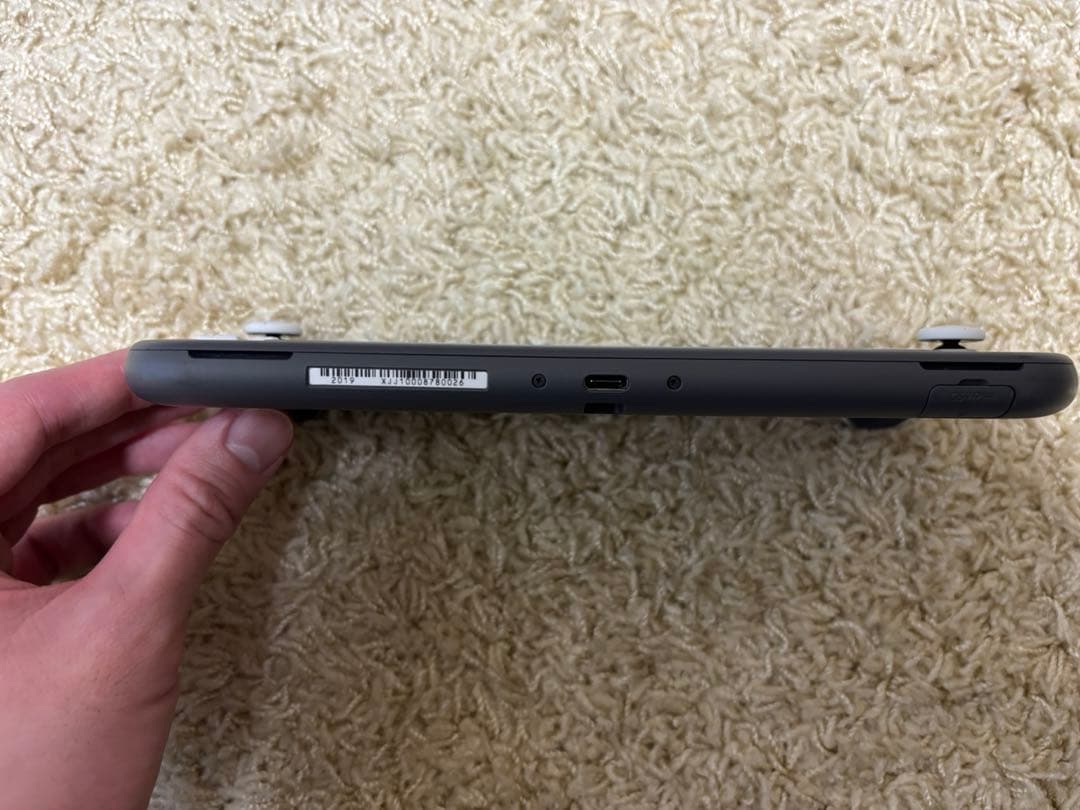 Nintendo Switch Lite グレー 本体 充電器・専用ケース付き