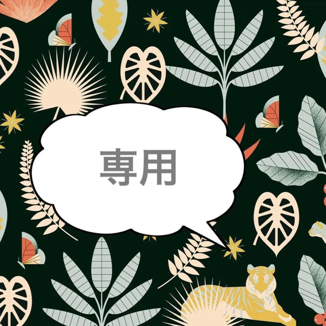 美濃焼　レース　ケーキ皿　取り皿　17cm 生成りホワイト　2枚