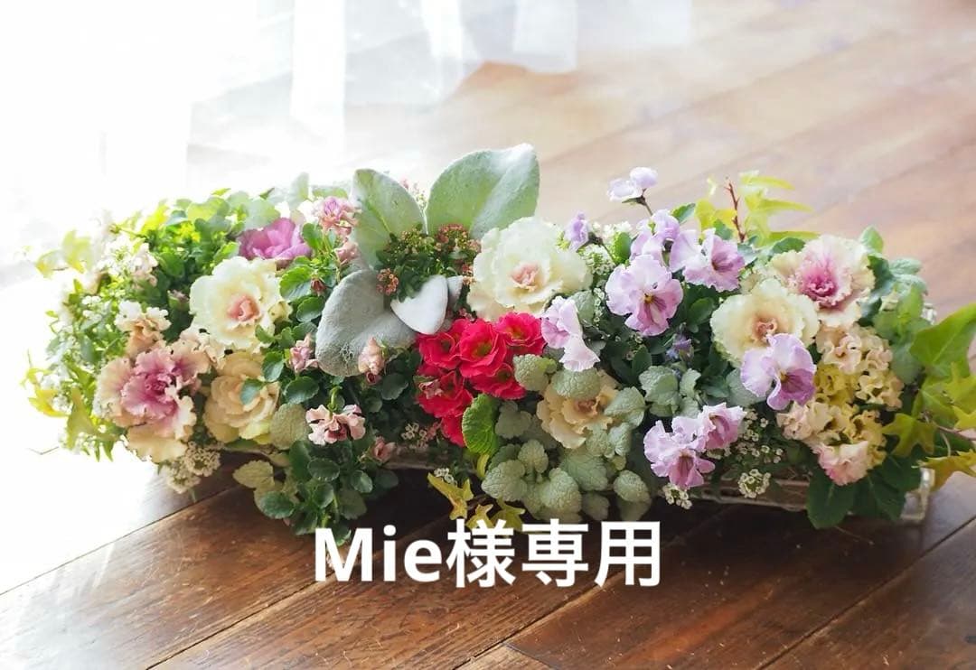 【お値引品】ビオラとジュリアンのマルチな寄せ植え