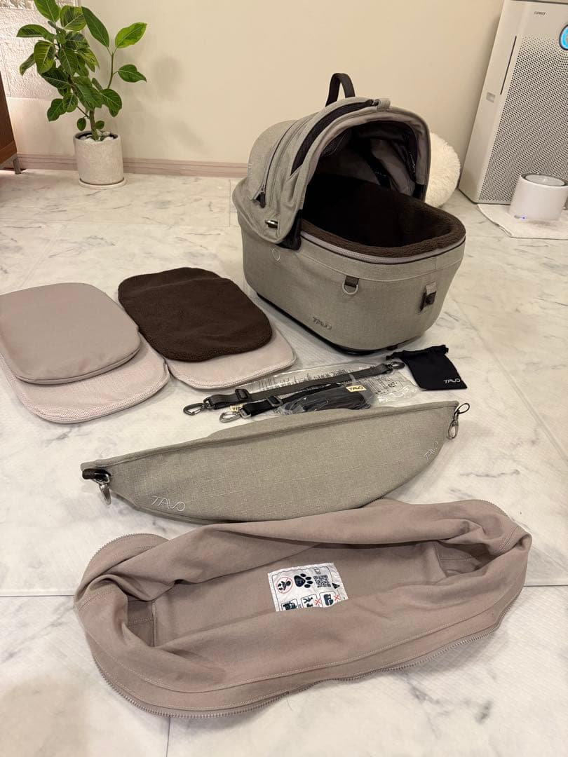 TAVO Maeve メイブ　5X FAWN コットのみ単品です。