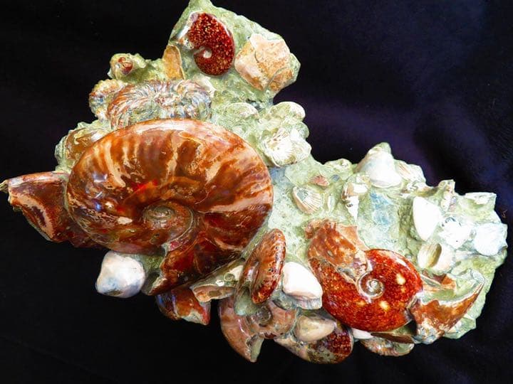 超限定品天然マダガスカル産オパールアンモナイト 化石 100個 超巨大型15ｋｇ