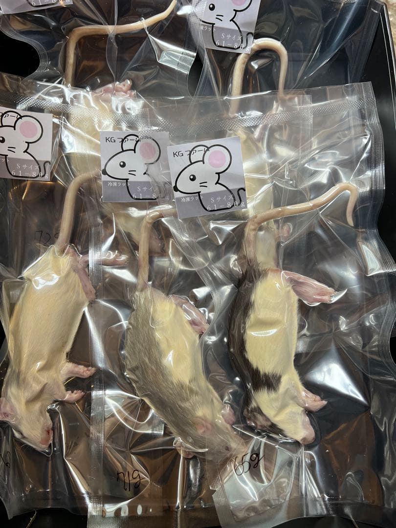 ☆冷凍ラット☆ちゃあ様ご予約品