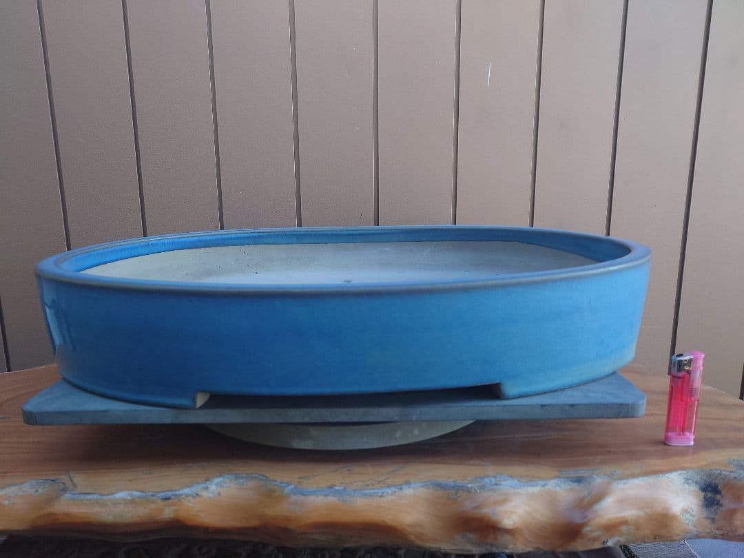 盆栽　鉢　真山造　幅62.2cm