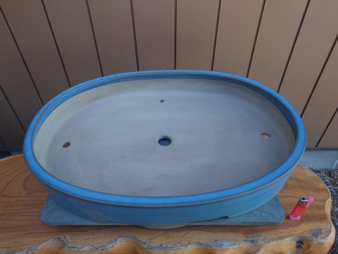 盆栽　鉢　真山造　幅62.2cm