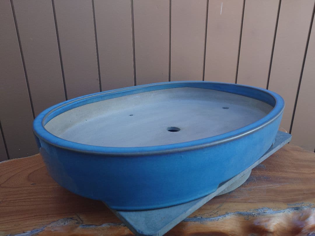 盆栽　鉢　真山造　幅62.2cm