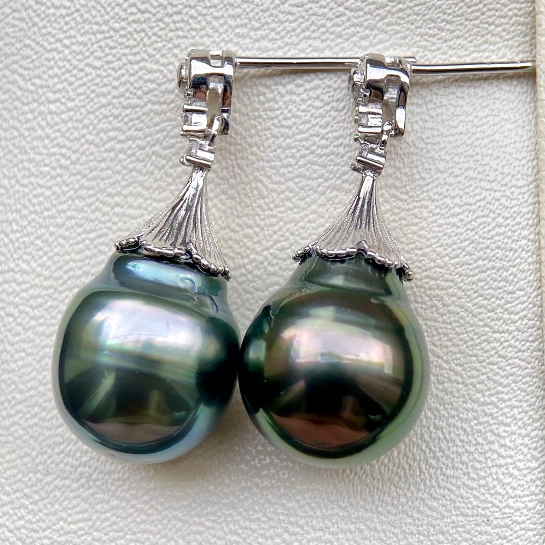 本真珠南洋黒蝶真珠グリーンブルー15×11.9㍉s925ピアスBL960