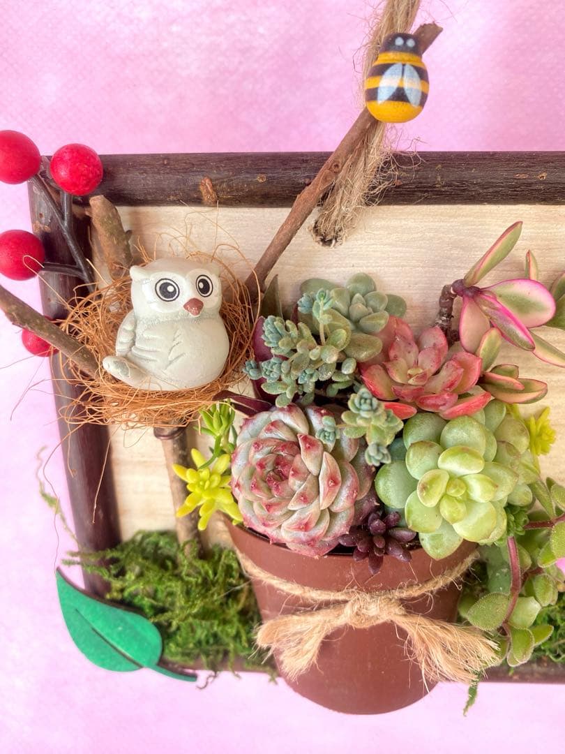 多肉アート◆寄せ植え◆そのまま飾れます◆ハンドメイド