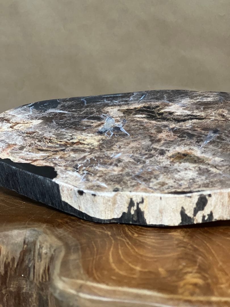 フォッシルプレート　珪化木