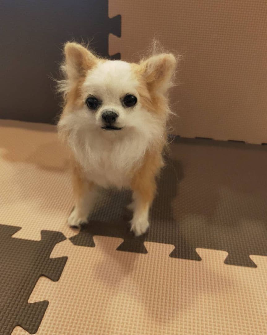 羊毛フェルト犬　ちろ