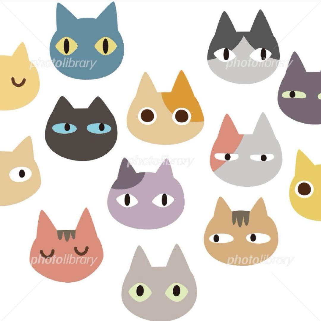 ゆきちゃん(=^x^=)♪♪♪