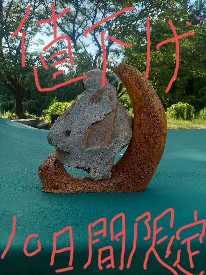 ▪️鑑賞石▪️置物▪️飾石 ■ 糸掛石 ■水石 ■