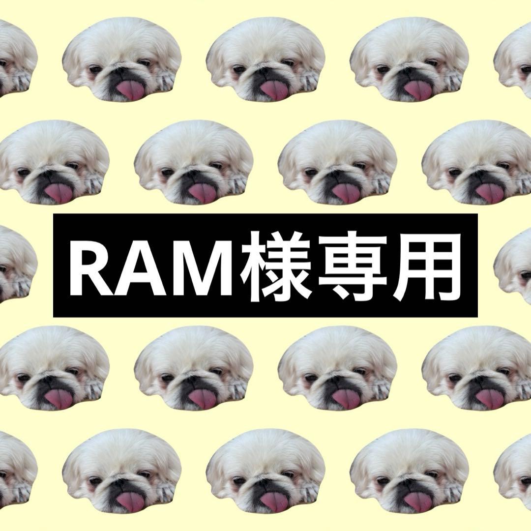 クラフト・布製品 RAM