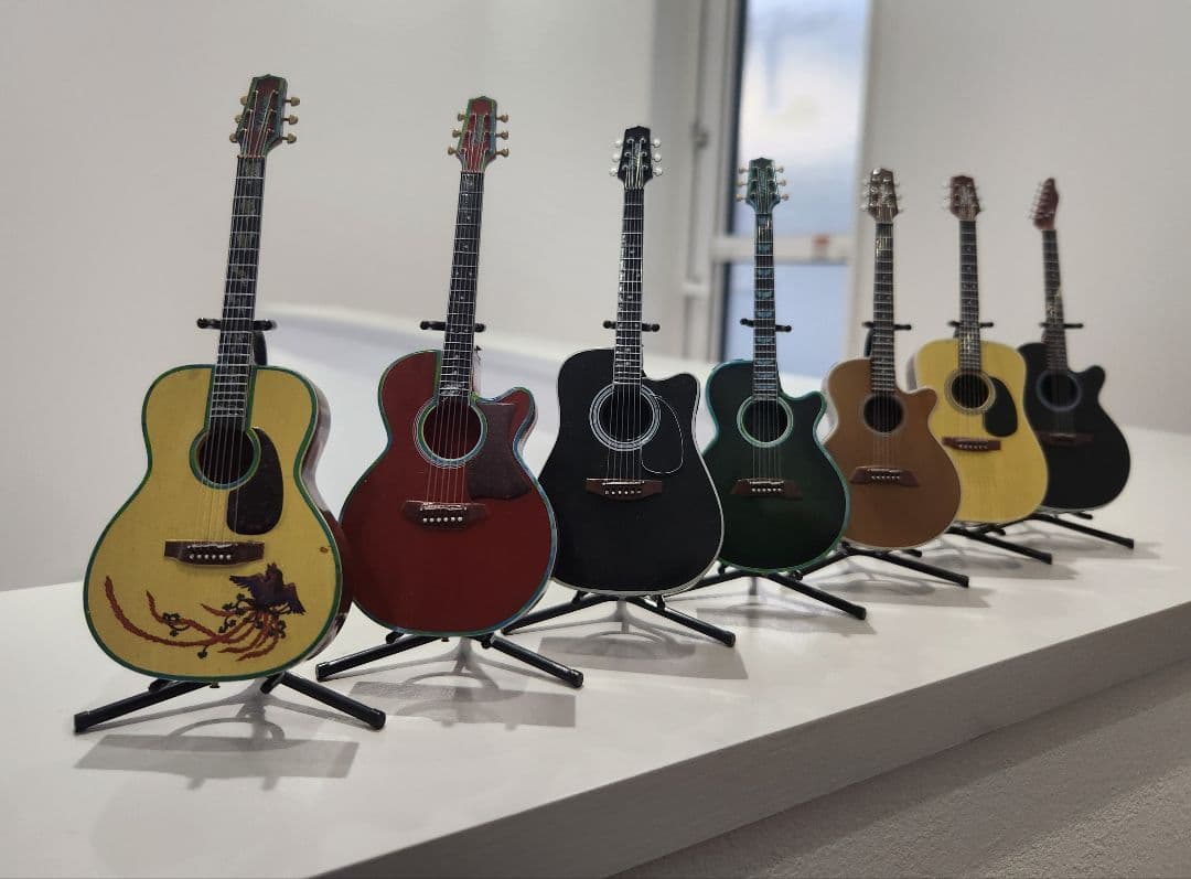 ま*こ様 タカミネギターコレクション