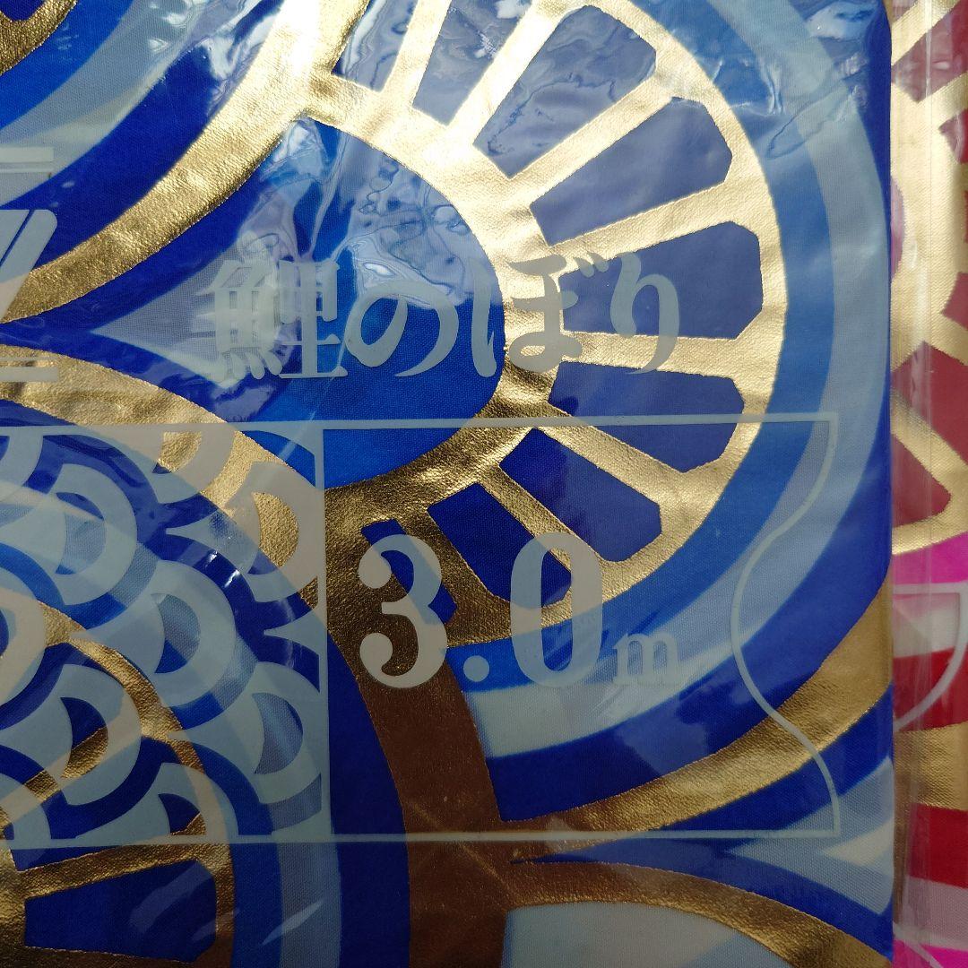 ぽよ　フジサワ鯉のぼり　黄金鯉5m（吹き流し、黒、赤、青）