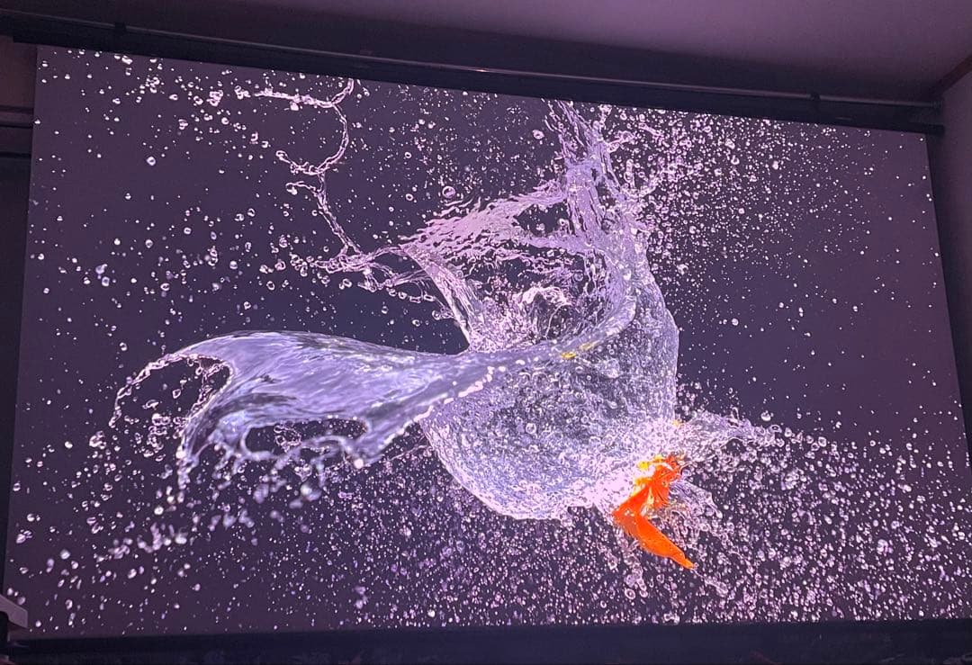 e*e様 Jmgo n1s ultra