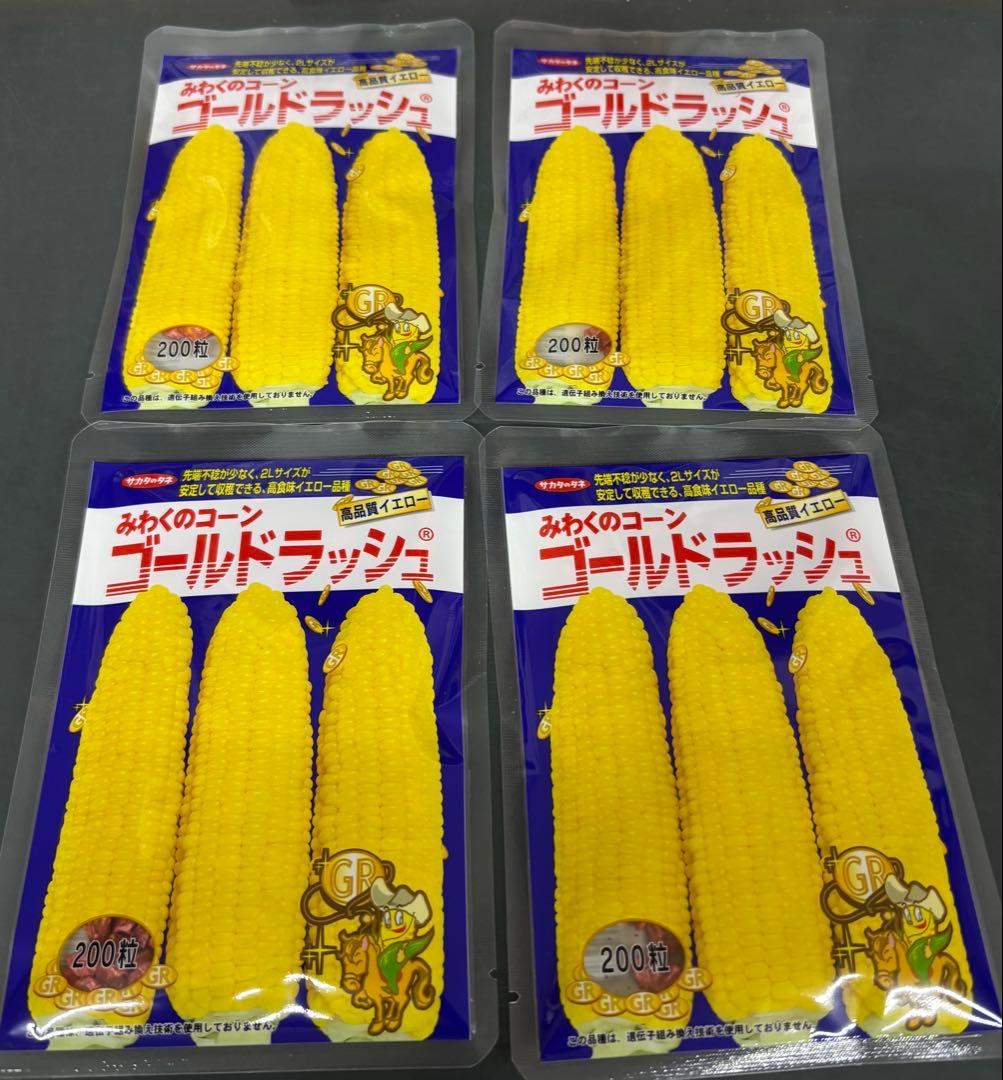 ゴールドラッシュ 種子 15600粒(200粒×78袋)