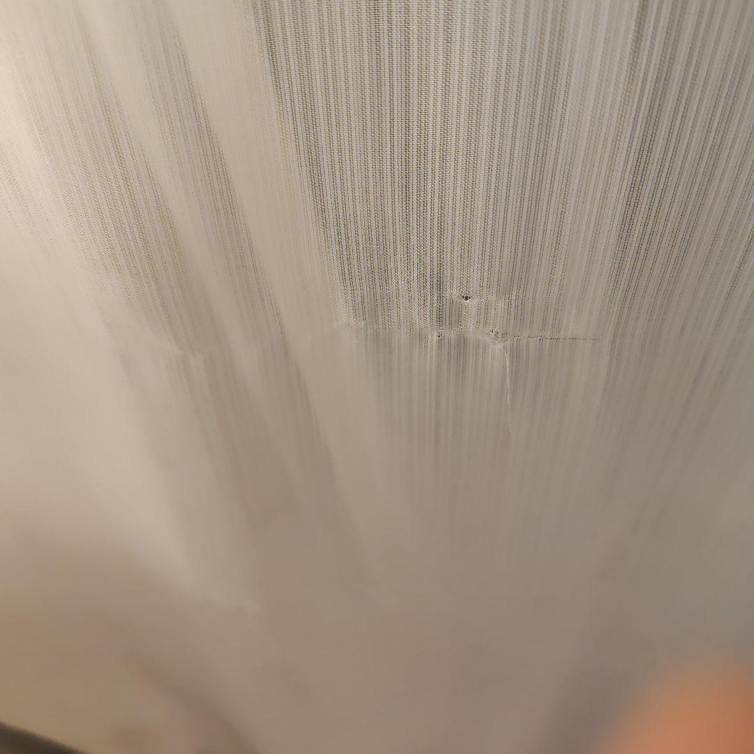 薄緑カーテン×ベージュカーテン(白レース付) ポリエステル 4点セット