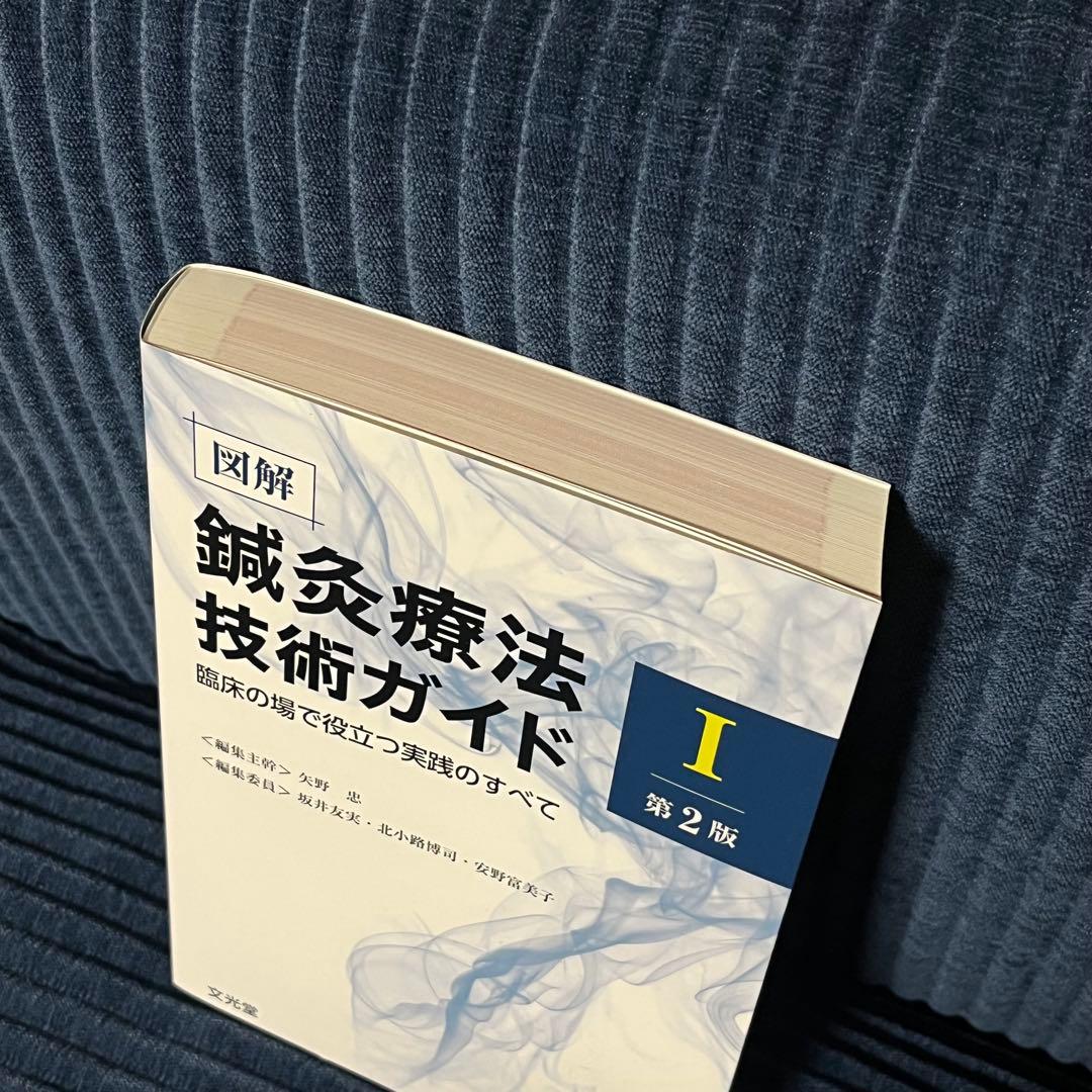 【セット売り】図解鍼灸療法技術ガイド : 臨床の場で役立つ実践のすべて. 1 2